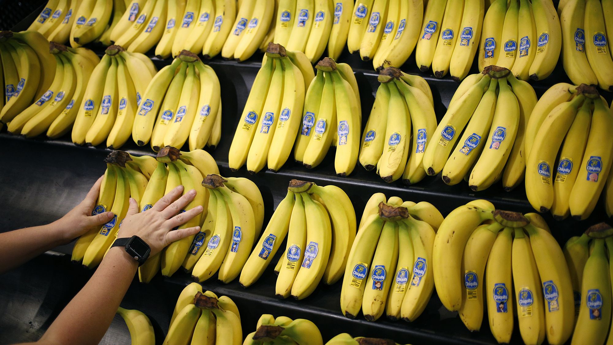 Chiquita found liable for financing paramilitary group