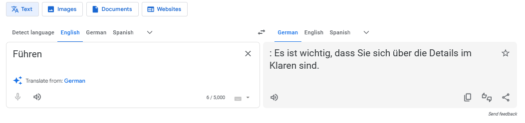 A google translate UI showing that the "English" text 'Führen' translates to german  ': Es ist wichtig, dass Sie sich über die Details im Klaren sind.'