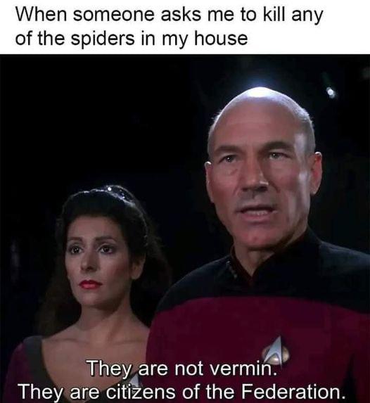 text reading "when someone asks me to kill any of the spiders in my house" above a picture of Jean-Luc Picard saying "they are not vermin, they are citizens of the Federation"