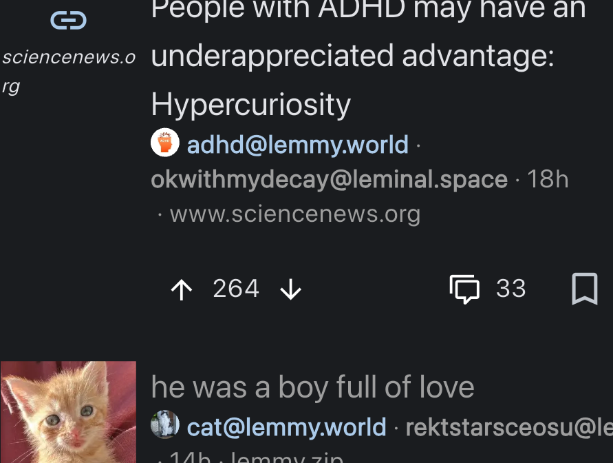 adhd hypercuriosity post followed by cat photo
