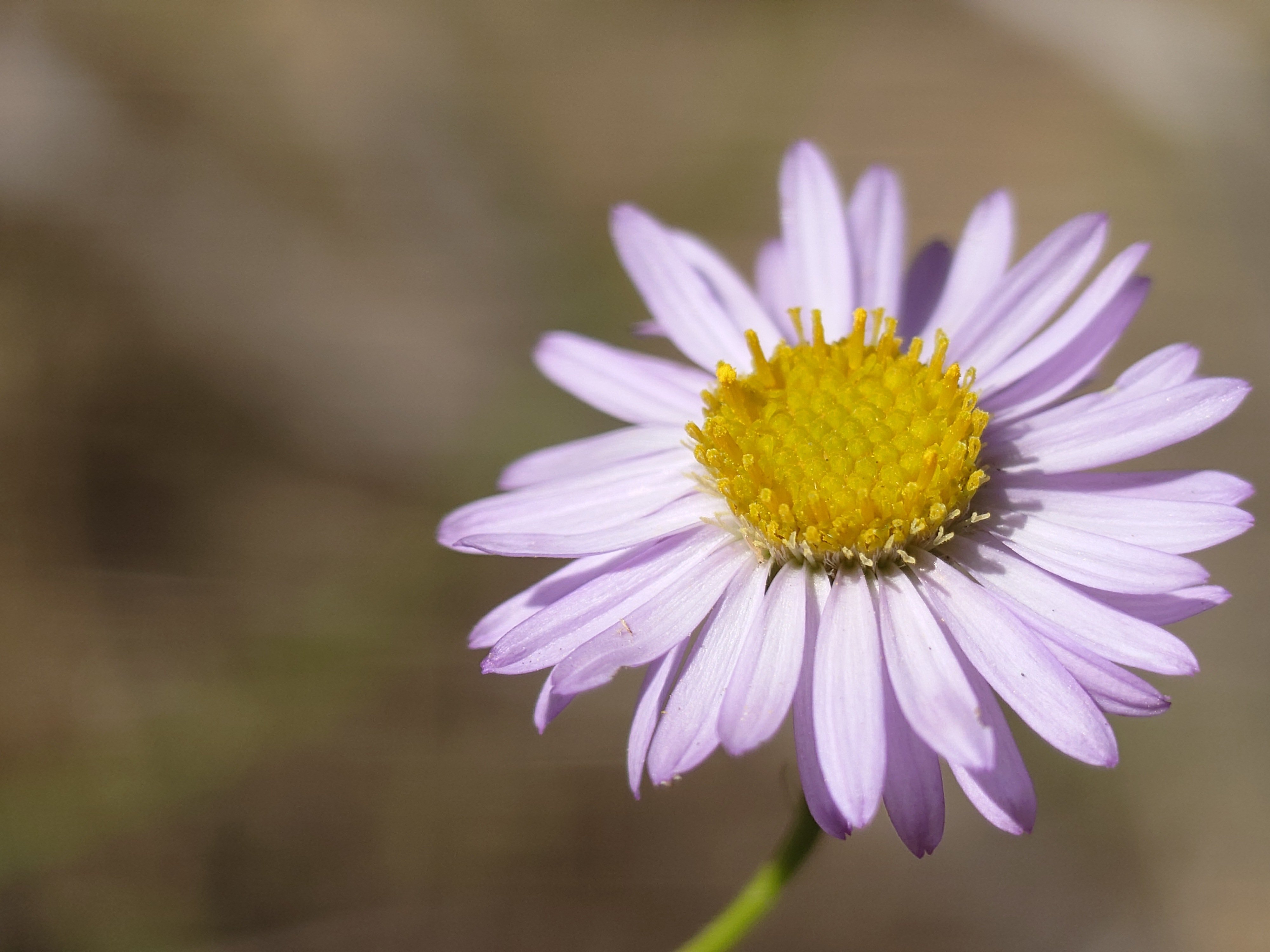 Took this while on a hike the other day