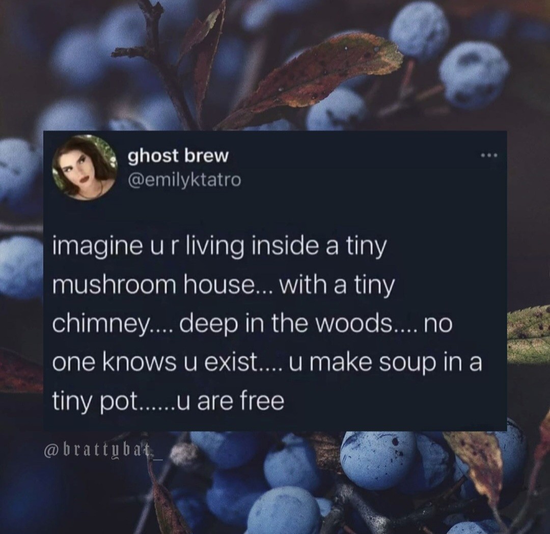 It's the dream