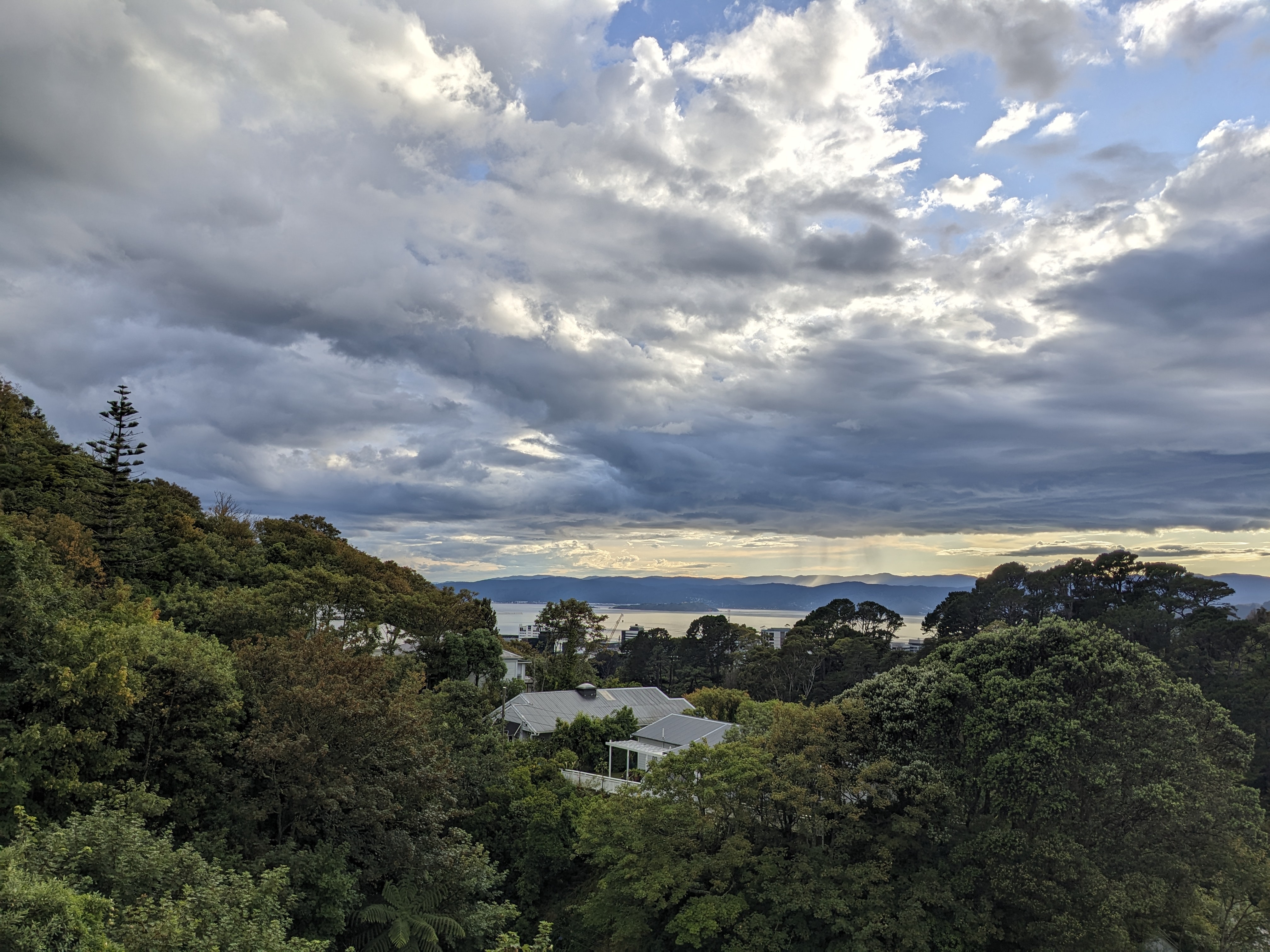 Wellington clouds and showers