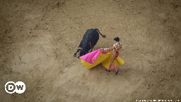 Colombia moves to ban bullfighting – DW – 05/29/2024