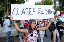 Palestinian voices sidelined at DNC despite push for representation