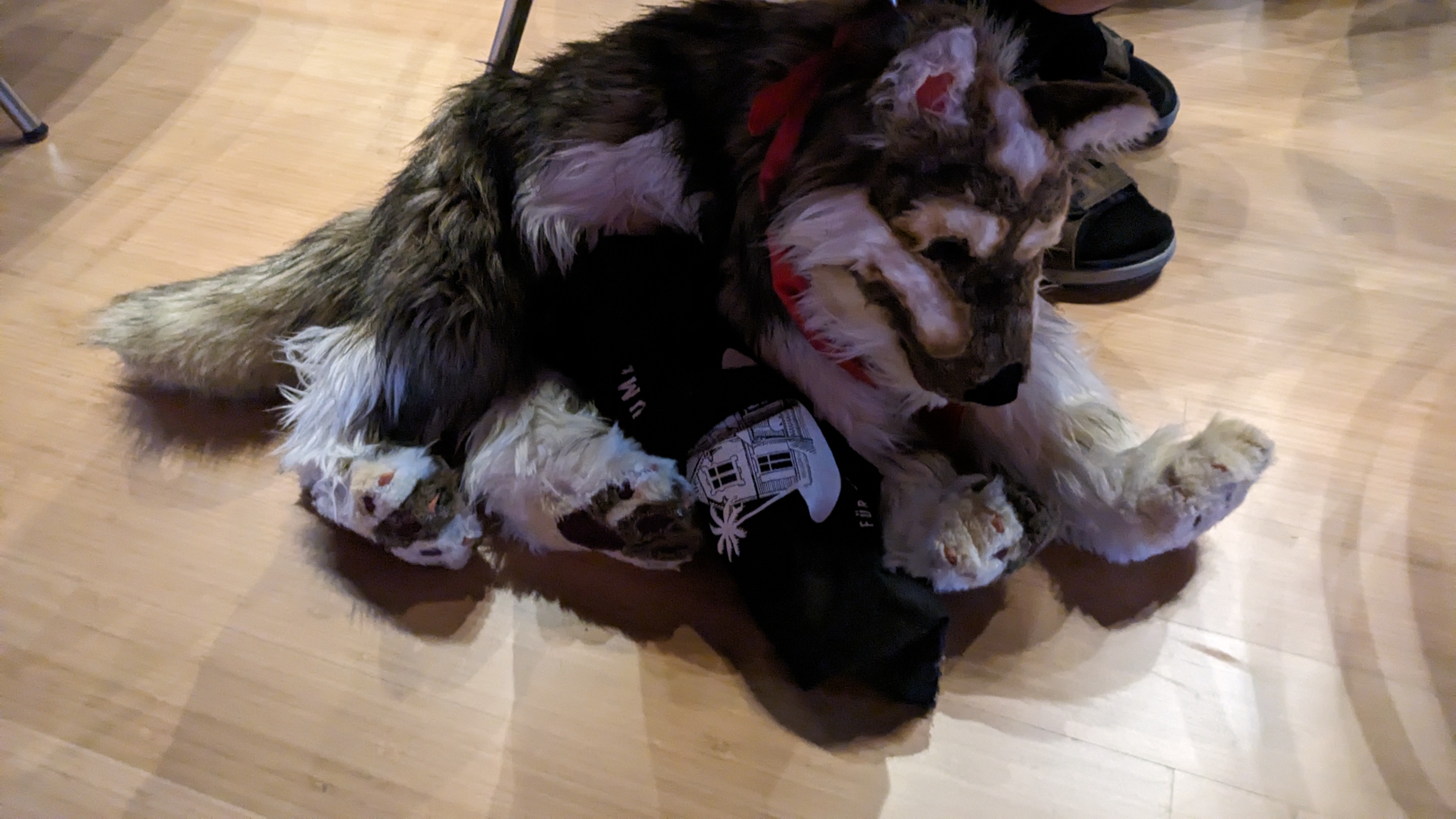 A wolf hand puppet/soft toy with a red bandana curled up next to my chair. Between his paws he has my pouch bag and watches over it.