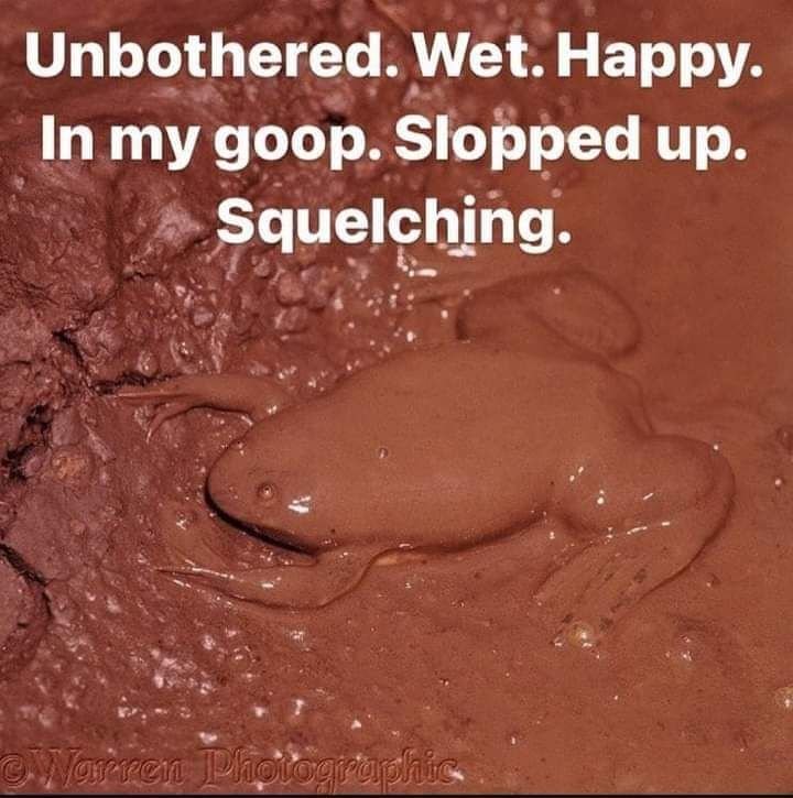 Unbothered. Wet. Happy. In my goop. Slopped up. Squelching.