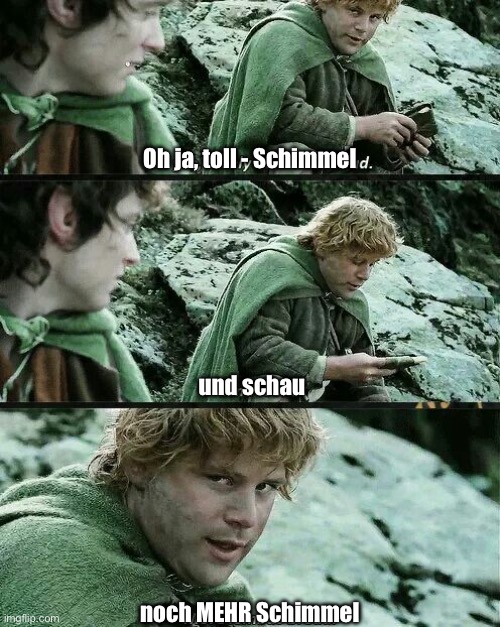 Abgewandelte Szene aus Herr der Ringe. Sam sagt zu Frodo: Au ja, toll - Schimmel. Und schau: noch MEHR Schimmel!