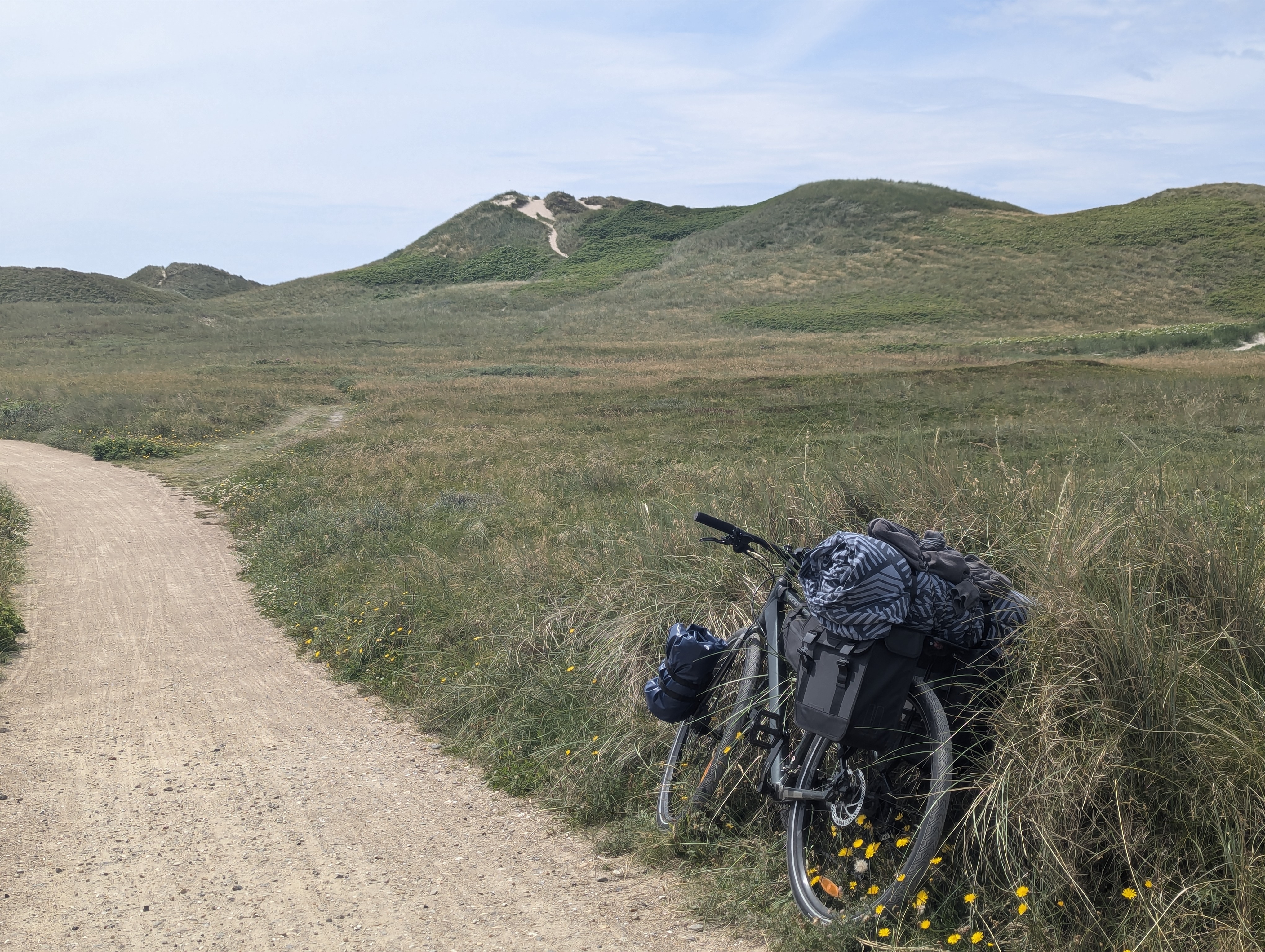 A bicycle leaning against a bush on a compacted gravel road. It is sunny and the Jutland west-coast dunes are seen in the background.