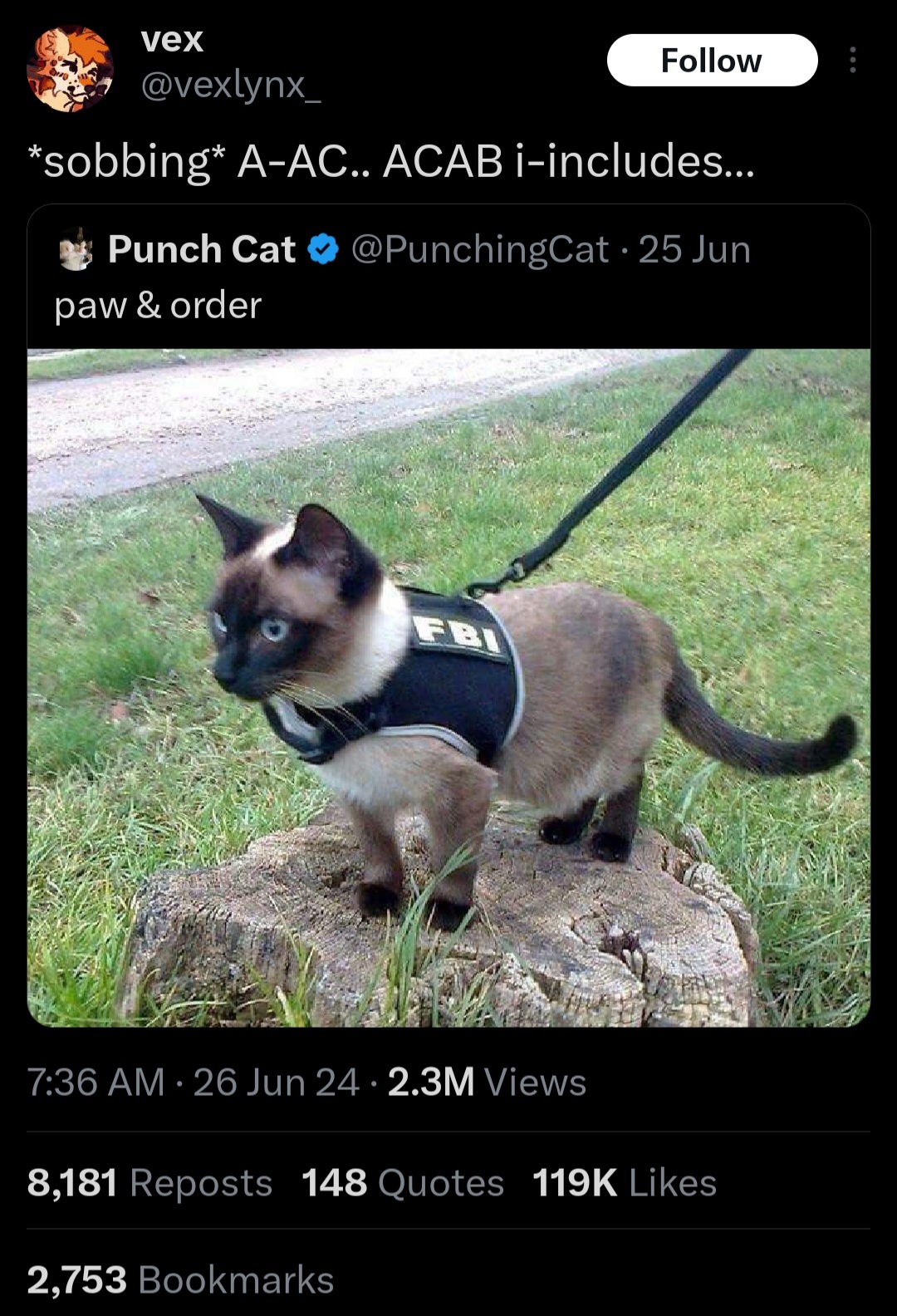 Twitter user sobs at having to call a cat a bastard. The tweet that the user is responding to shows an absolutely adorable cat in an FBI harness. The tweet caption says "Paw and Order"